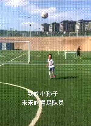 触发了狗狗身上的弹射装置 动图 治愈脑瘫只需一秒