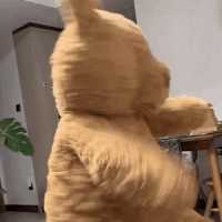 中国式汉堡是怎么做的?动图 真人版性感劳拉被真熊咬