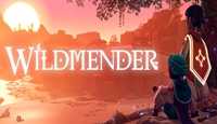 《荒原疗者》Wildmender怎么联机？联机方法介绍
