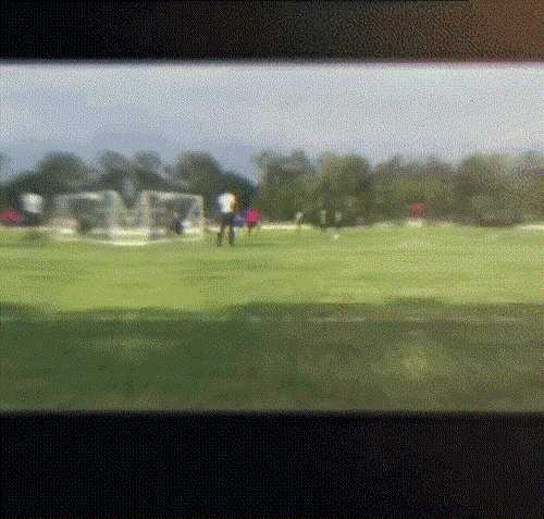 中国式汉堡是怎么做的?动图 真人版性感劳拉被真熊咬