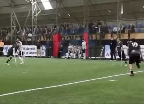 中国式汉堡是怎么做的?动图 真人版性感劳拉被真熊咬