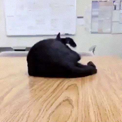 女人最接受不了的酷刑竟是它!囧图 这个皮卡丘真大