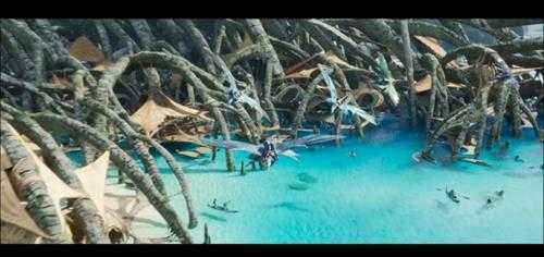 “盆栽”演唱主题曲!《阿凡达2》新预告公开新画面