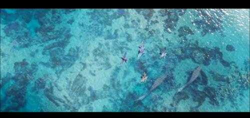 “盆栽”演唱主题曲!《阿凡达2》新预告公开新画面