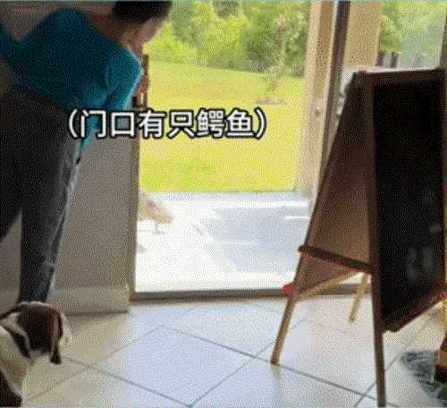 中国式汉堡是怎么做的?动图 真人版性感劳拉被真熊咬