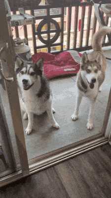 女人最接受不了的酷刑竟是它!囧图 这个皮卡丘真大