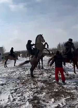 女人最接受不了的酷刑竟是它!囧图 这个皮卡丘真大