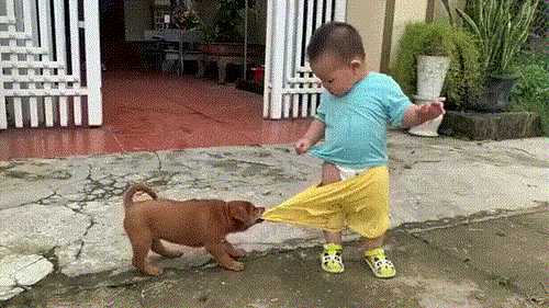 女人最接受不了的酷刑竟是它!囧图 这个皮卡丘真大