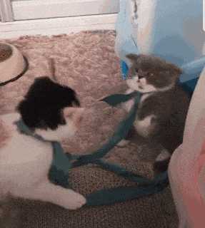 女人最接受不了的酷刑竟是它!囧图 这个皮卡丘真大