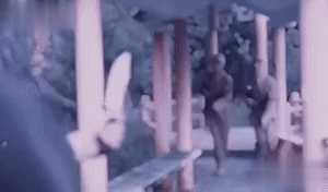 中国式汉堡是怎么做的?动图 真人版性感劳拉被真熊咬