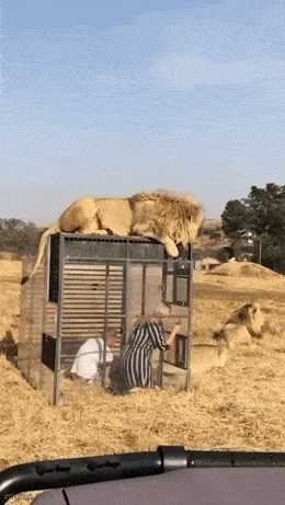 女人最接受不了的酷刑竟是它!囧图 这个皮卡丘真大
