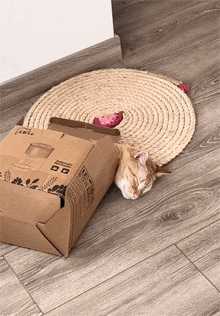 中国式汉堡是怎么做的?动图 真人版性感劳拉被真熊咬