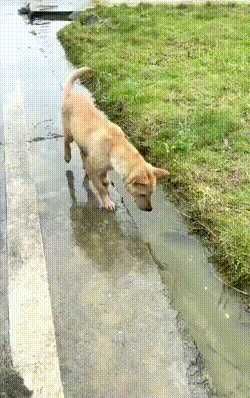 请问我能加入你们的play吗 动图 一定是杆子把持不住