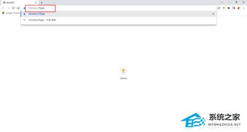 谷歌浏览器如何提高文件下载速度?谷歌浏览器提高下载速度的方法