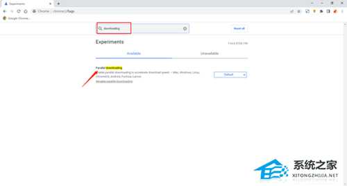 谷歌浏览器如何提高文件下载速度?谷歌浏览器提高下载速度的方法
