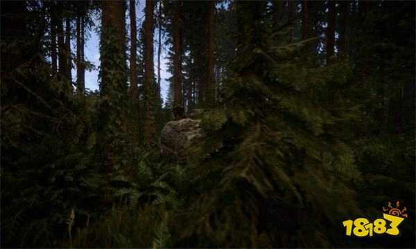 森林之子哪件护甲防御高 护甲防御值排行一览