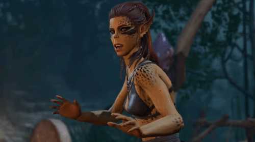 博德3玩家建议谨慎与养鸡妹发生关系:可能会丧命!