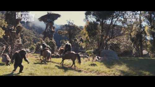 《猩球崛起4》新预告:人类携手猿猴对抗邪恶
