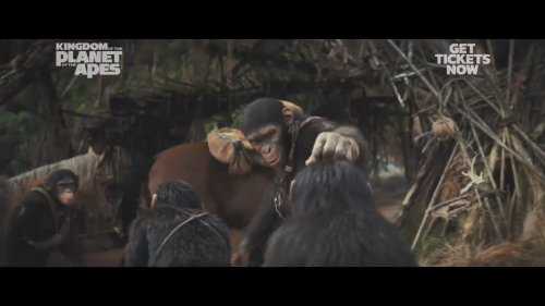 《猩球崛起4》新预告:人类携手猿猴对抗邪恶