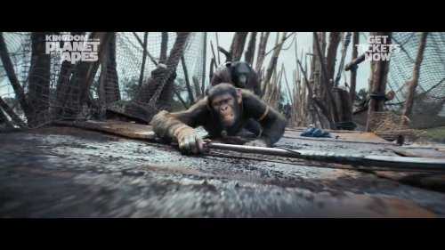 《猩球崛起4》新预告:人类携手猿猴对抗邪恶