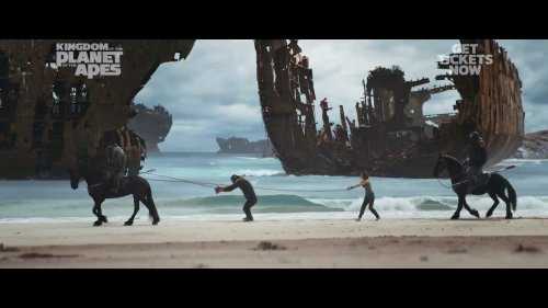 《猩球崛起4》新预告:人类携手猿猴对抗邪恶