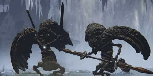 《老头环》经常被玩家跳过的BOSS:多个双人组上榜